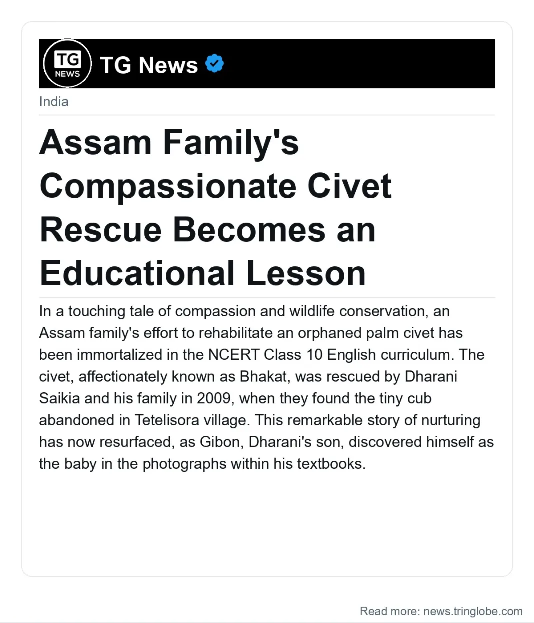 Assam Family’s Compassionate Civet Rescue Becomes an Educational Lesson