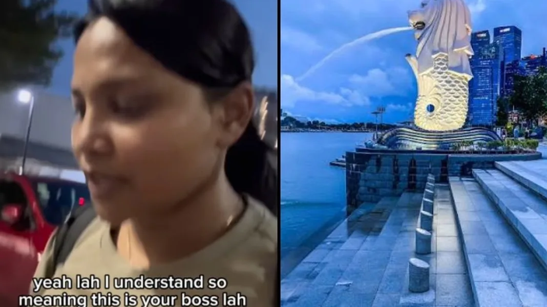 Malaysian Executive Mistaken for Maid in Singapore Sparks Debate on Racial Profiling