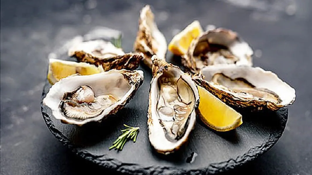 Eating Oysters Could Lower Cancer Risk, New Study Finds