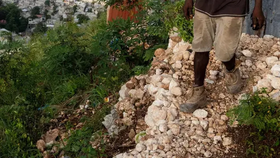 Haiti’s Environment Minister Warns Climate Change Worsens Political, Security Crises