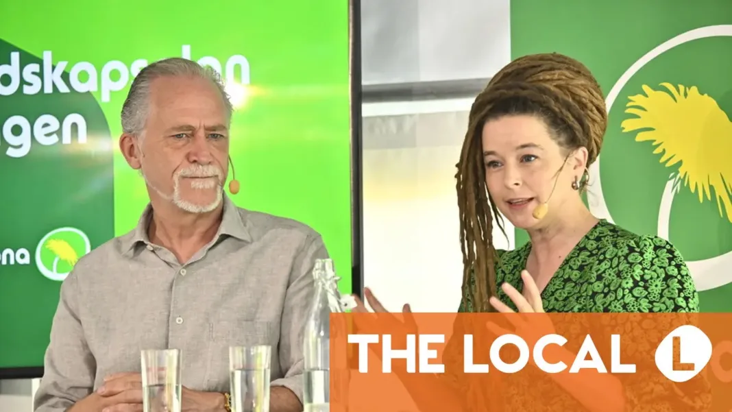No more profit in healthcare or schools – Green Party’s radical 2026 vision
