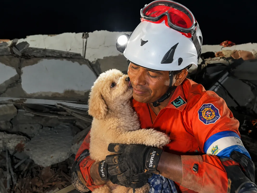Dog Named Giselle Rescued After Five Days Trapped in Venezuelan Earthquake Rubble