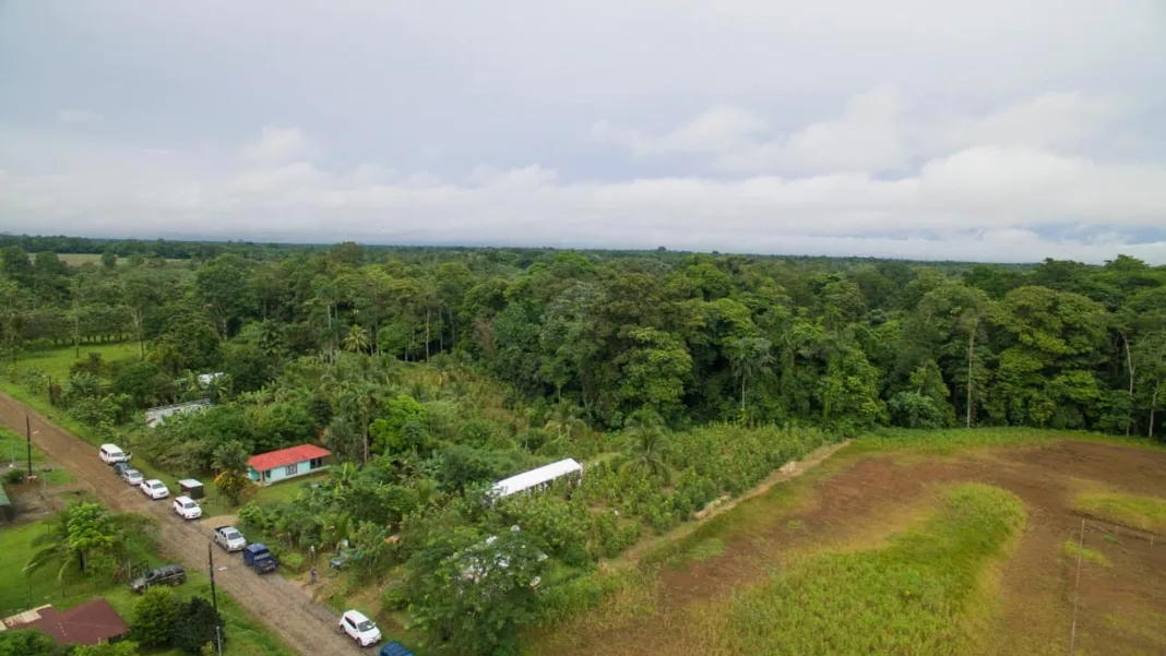 Sarapiquí Flooding: 330 Still in Shelters as Yellow Alert Holds