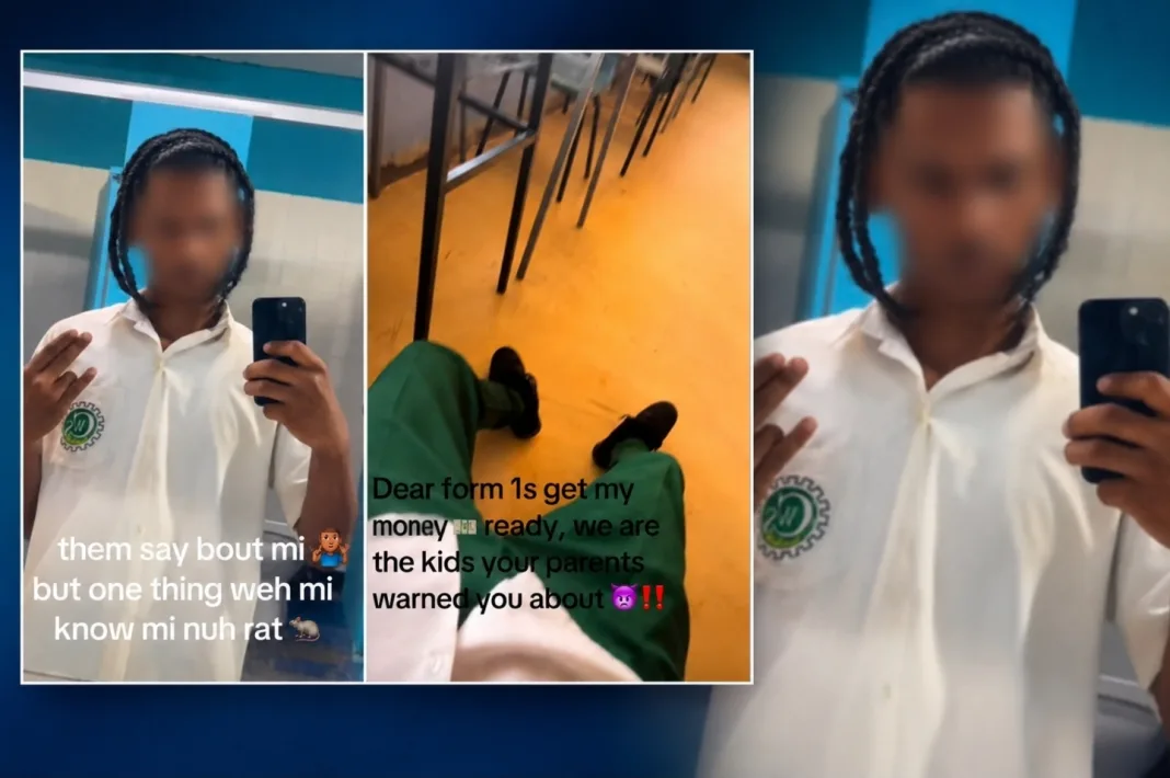 Viral TikTok Post Ignites Debate Over Online Behaviour and School Bullying