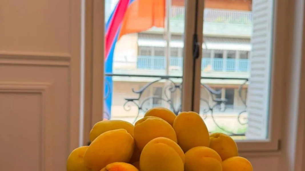 Armenian Apricots Now on Shelves in Paris Stores