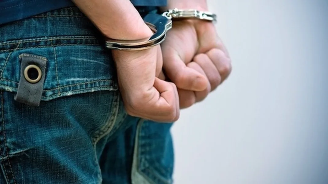 Two teens charged in Hunters Hill arson spree appear in children’s court