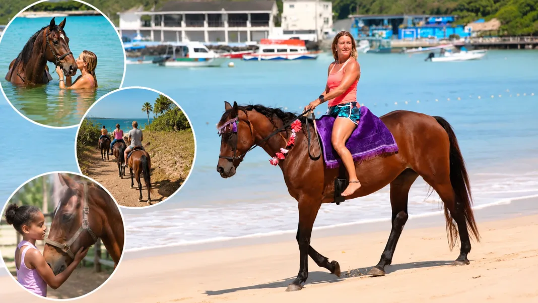 Healing With Horses Offers Unique Wellness Experience in Tobago