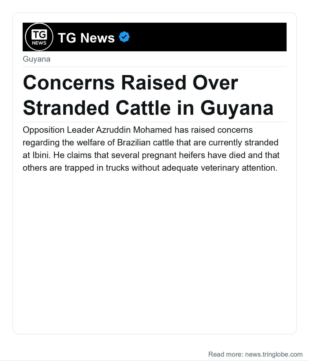 Guyana: Concerns Raised Over Stranded Cattle in Guyana