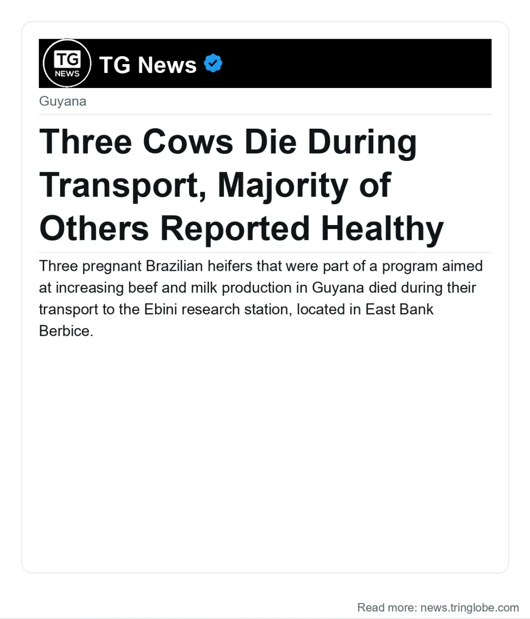 Guyana: Three Cows Die During Transport, Majority of Others Reported Healthy