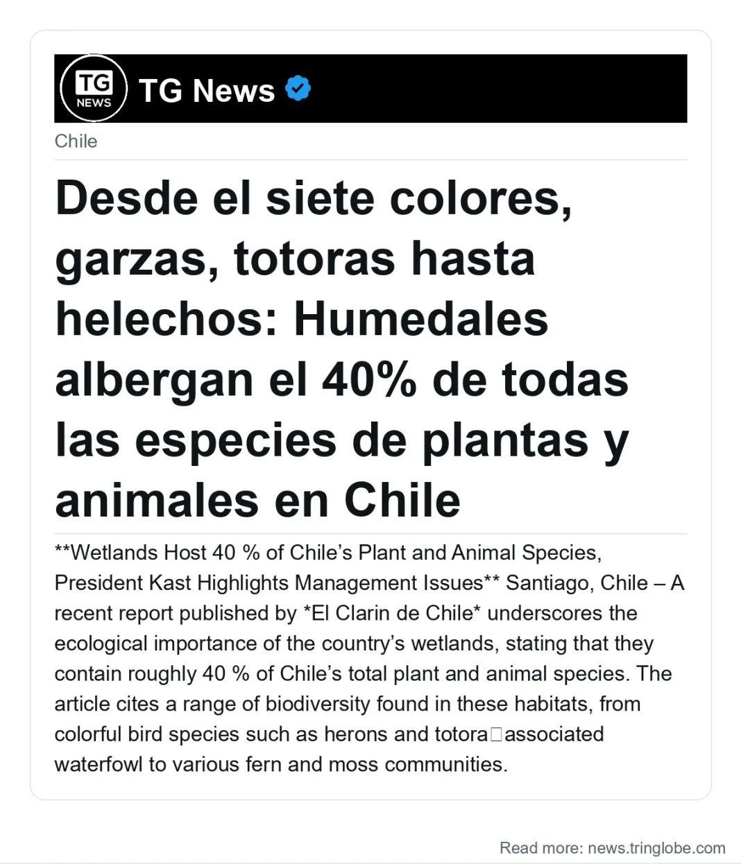Desde el siete colores, garzas, totoras hasta helechos: Humedales albergan el 40% de todas las especies de plantas y animales en Chile