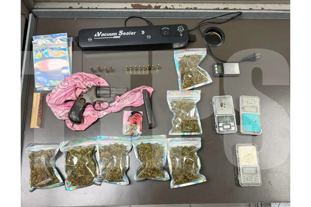 Tobago Police Seize Firearm, Ammo, and Cannabis in Intelligence-Led Operation; One Arrested