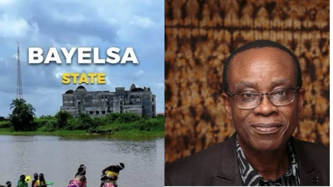 Bayelsa Most Polluted State in Nigeria, Says Environmentalist, Nnimmo Bassey