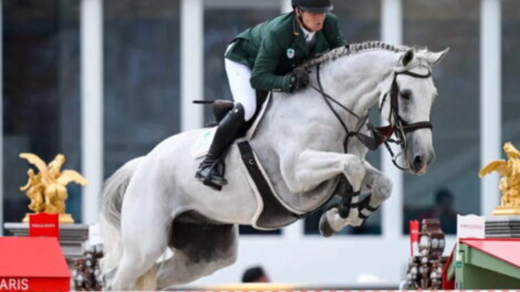 Interim examiner appointed in bid to save Horse Sport Ireland