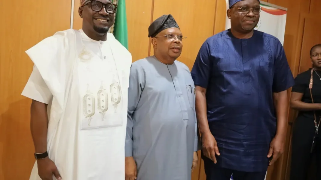 Nigeria moving from counting megawatts to powering more communities – Tegbe