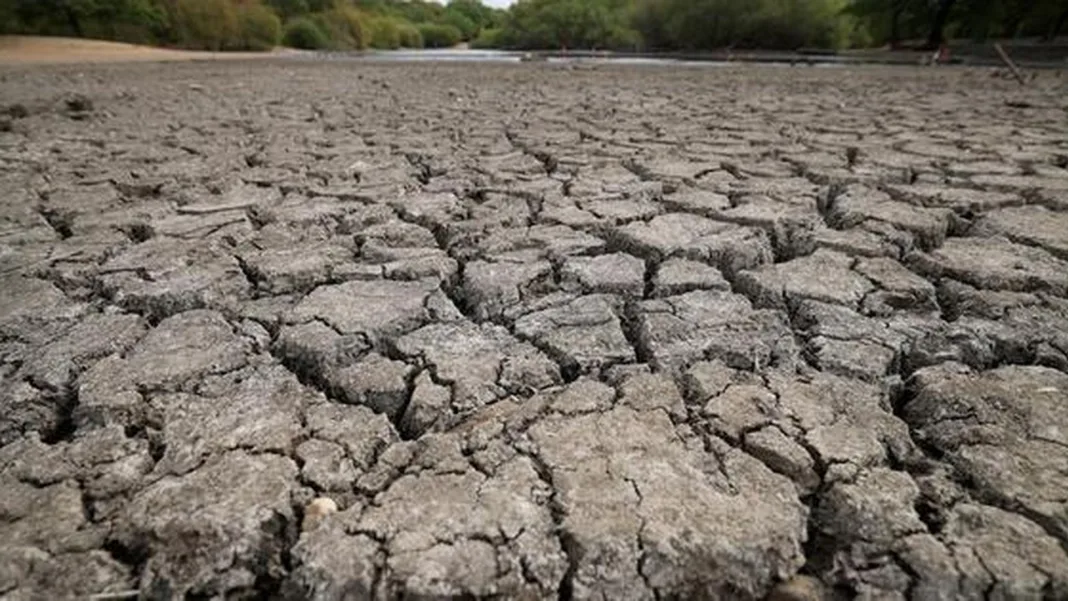 Heat, drought expose Britain’s vulnerability to extreme weather