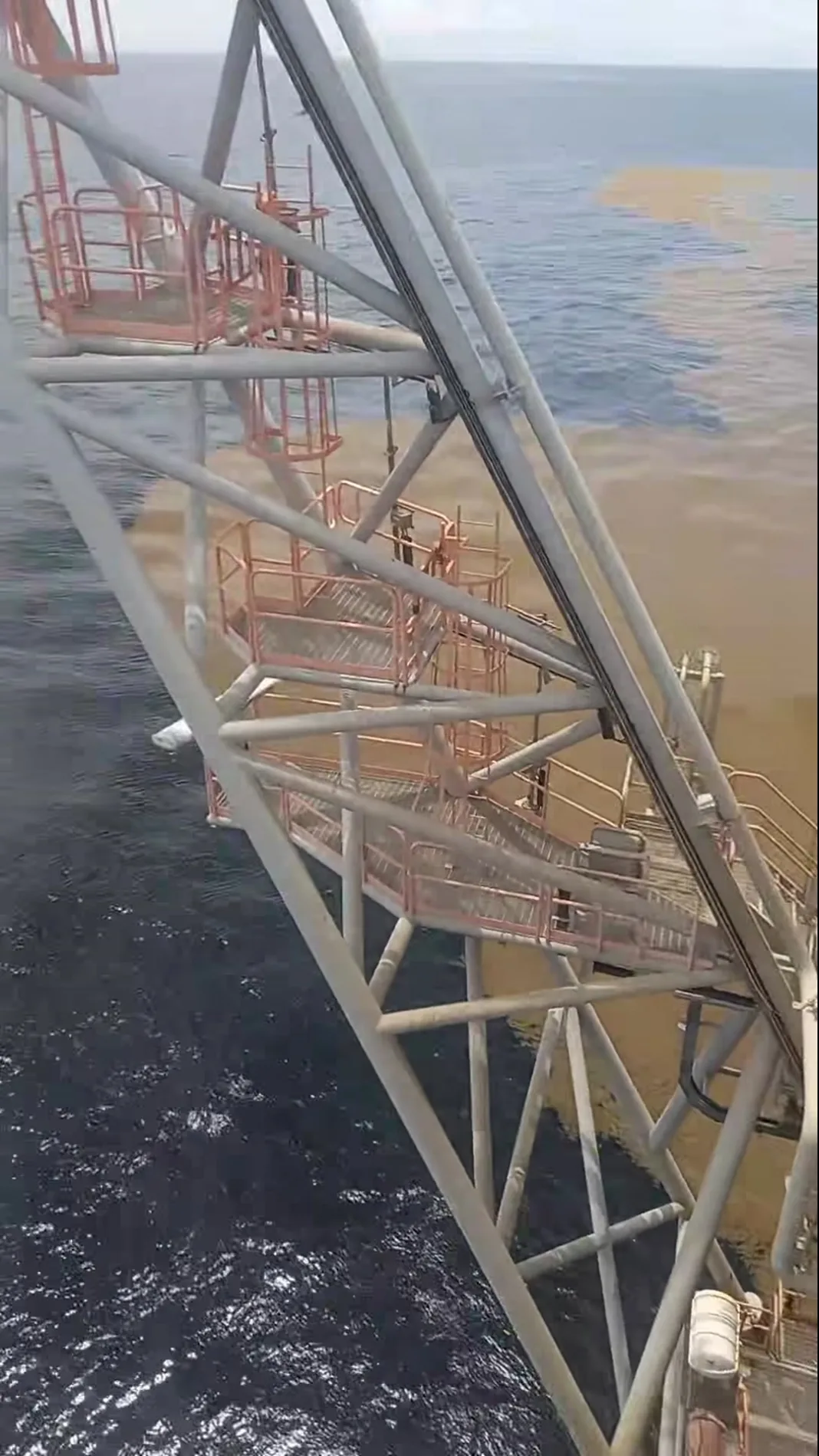 Sargassum Seaweed Crisis: Fishermen’s Livelihoods Under Threat in Trinidad