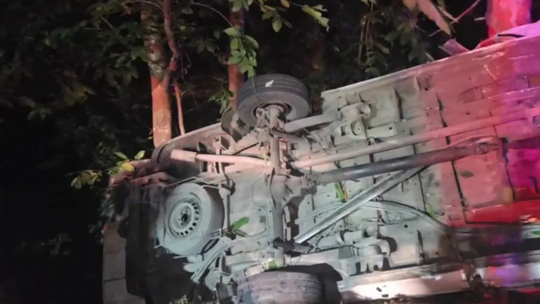 Driver Detained After Minibus Crash Kills Four Belarusian Citizens in Guria