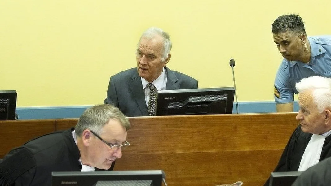 SDP to File Criminal Complaint against Three Politicians over Glorification of War Criminal