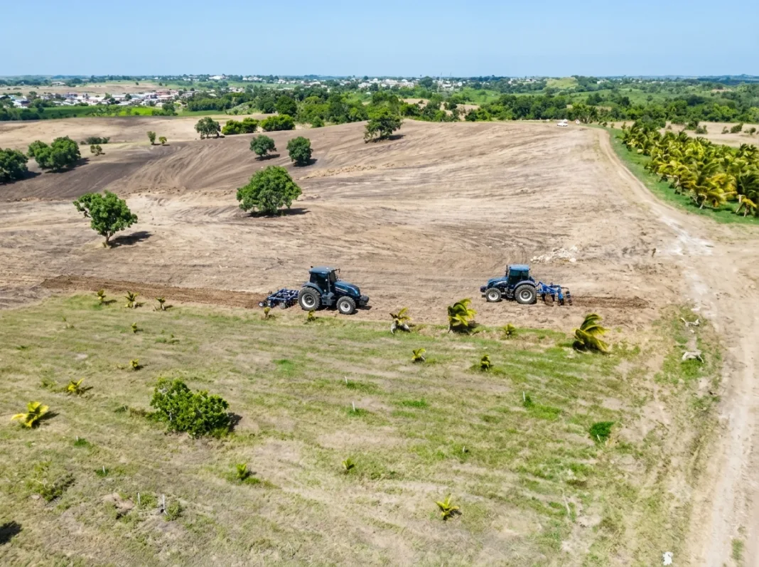 Residents Demand Answers as Sugarcane Lands Are Cleared for A.I Development Project