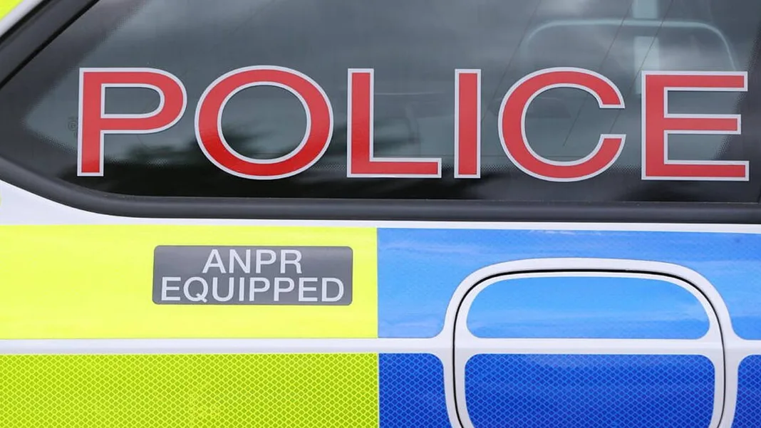 People inside property during petrol bomb attack in Belfast