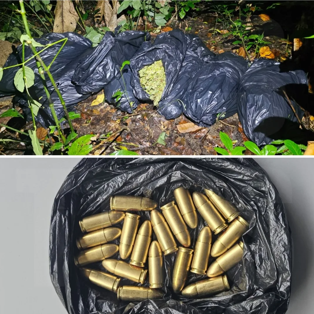 Police Operation in Matelot Seizes TT$1.53M Worth of Cannabis and Ammunition