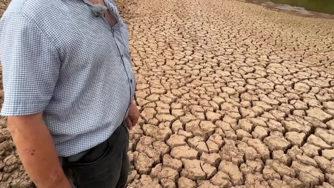 Sécheresse en France : les agriculteurs s’organisent face aux restrictions d’eau