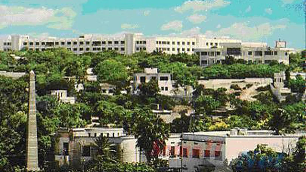 Kleptocracy and Nepotism: The Family Business of Somalia