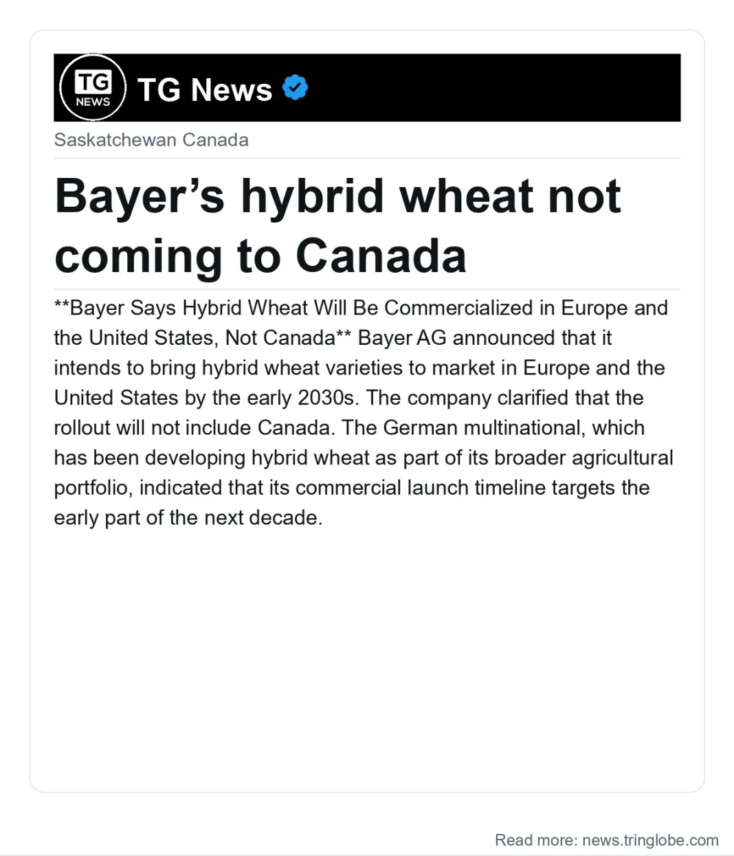 Bayer’s hybrid wheat not coming to Canada
