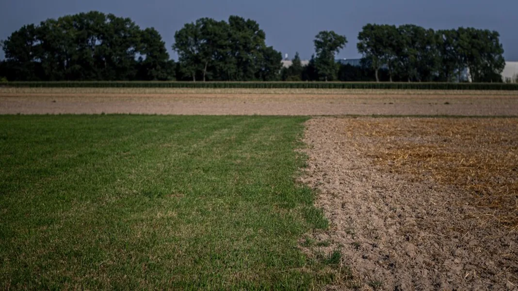 Czech Villages Face Water Shortages as Drought Deepens