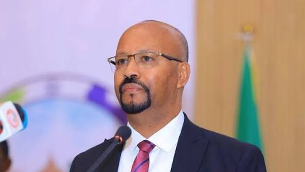 Ethiopian Ambassador Accuses Eritrea of Violating Ethiopia’s Sovereignty