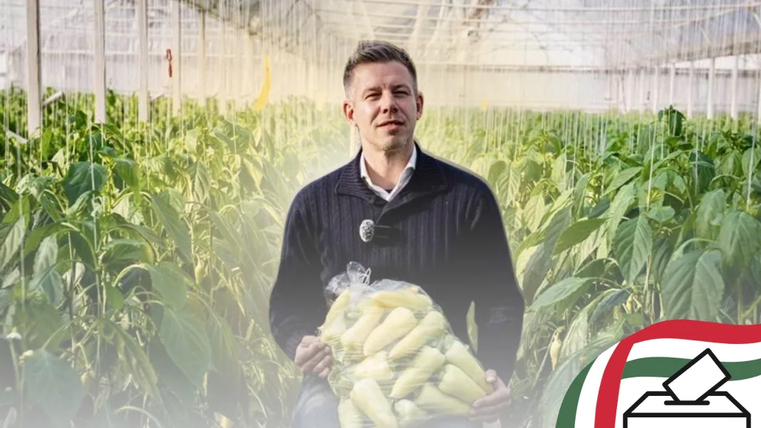 The best of Hungary, in reverse