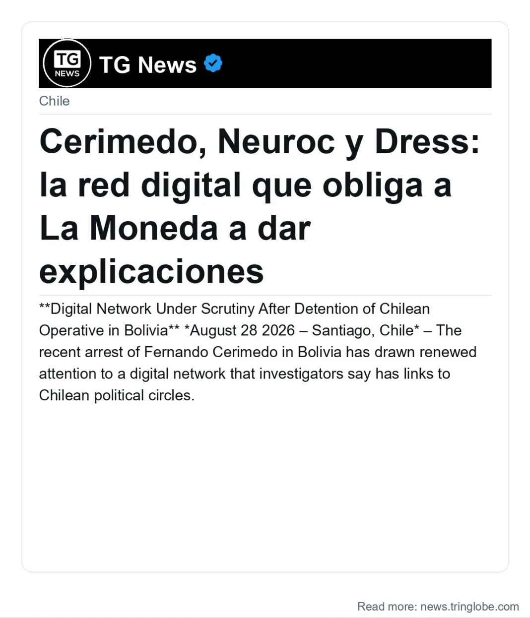 Cerimedo, Neuroc y Dress: la red digital que obliga a La Moneda a dar explicaciones