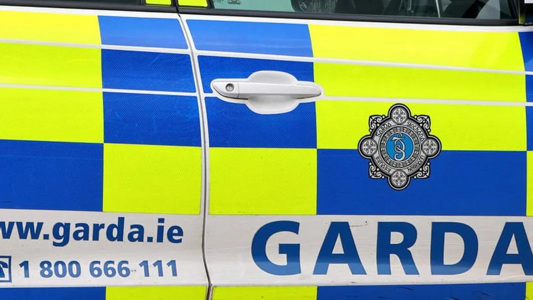 Woman in critical condition after two-car collision in Co Limerick