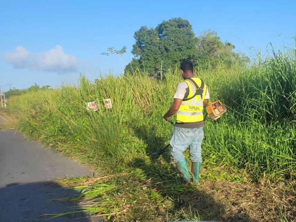 Roadside Grass-Cutting Operations Raise Safety Concerns