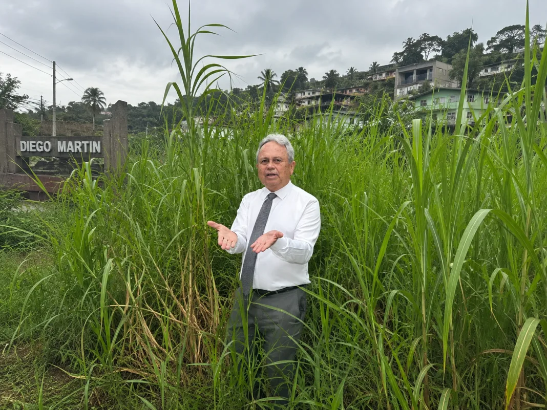 Opposition MP highlights overgrown roadsides while raising concerns about maintenance.