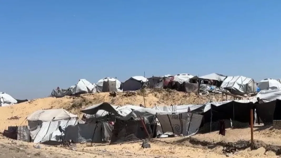 Between Tents and a Garbage Dump, Displaced Gazans Face Growing Health Risks