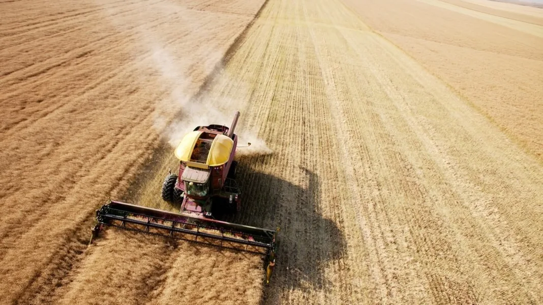 Kazakhstan Flour Exports Surge as Afghanistan Drives Demand