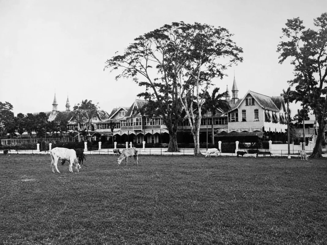 Queen’s Park Savannah: From Sugar Estate and Cattle Pasture to the Heart of Port of Spain