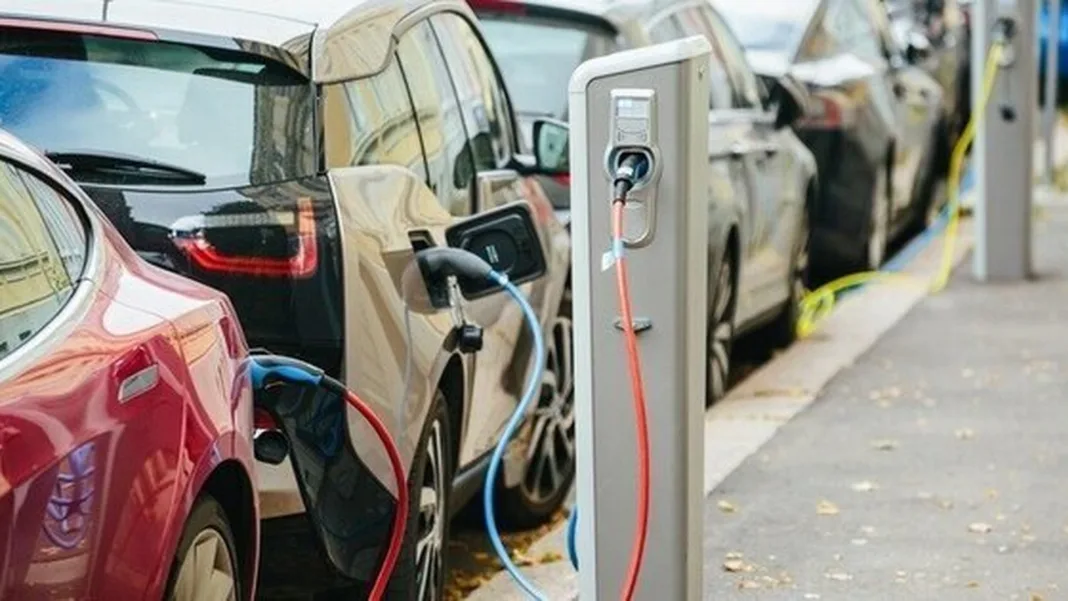 National security, conservation groups call for energy independence