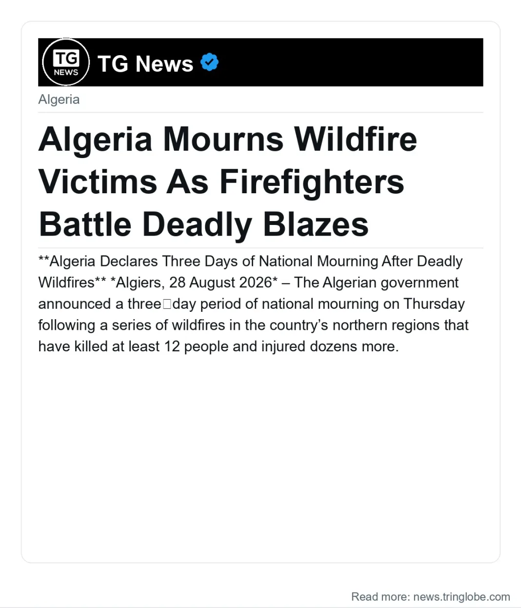 Algeria Mourns Wildfire Victims As Firefighters Battle Deadly Blazes