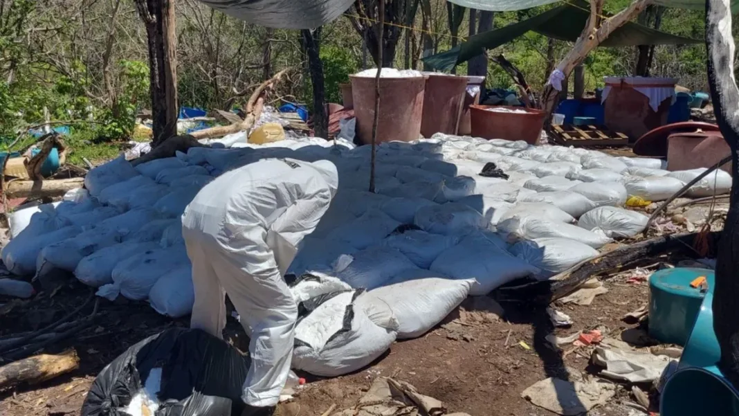 La DEA asegura que sus labores de inteligencia permitieron a México desmantelar 8 narcolaboratorios