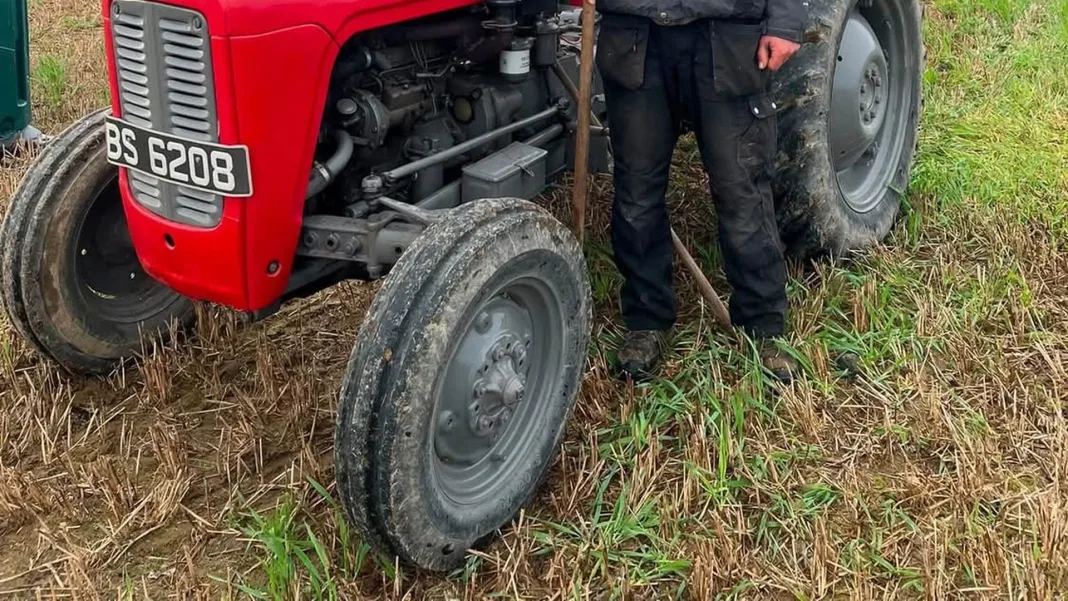 St Ola ploughman wins bronze on Scotland debut
