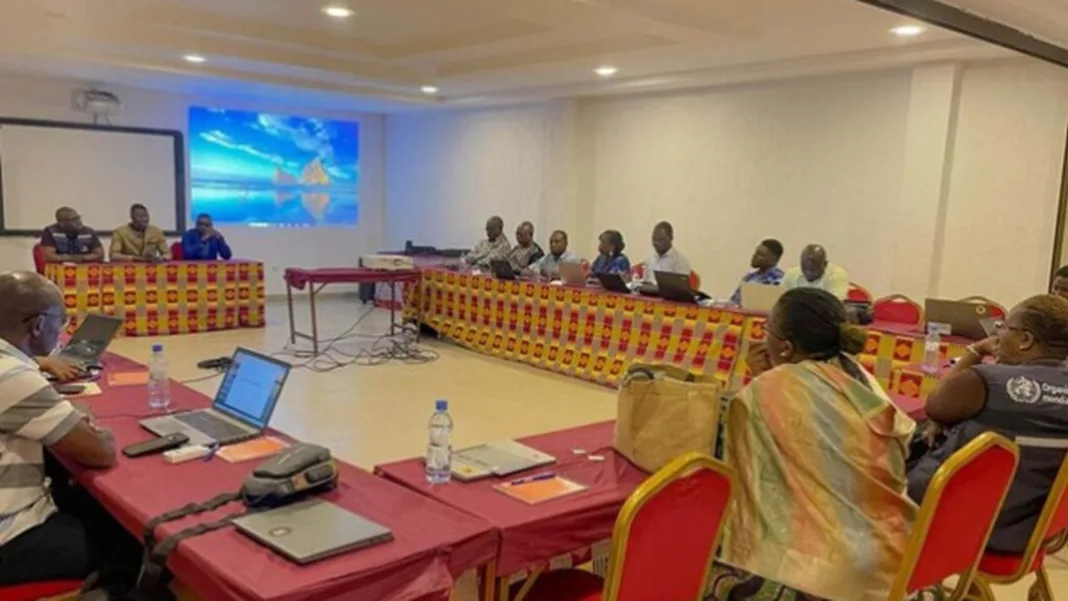 Togo : une plateforme numérique pour mieux orienter la lutte contre le paludisme