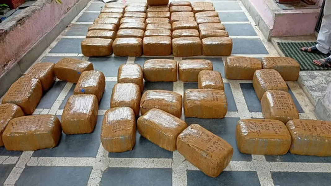 Chhattisgarh: DRI arrests 4 drug traffickers, seizes 375.95 kg ganja, 2 trucks