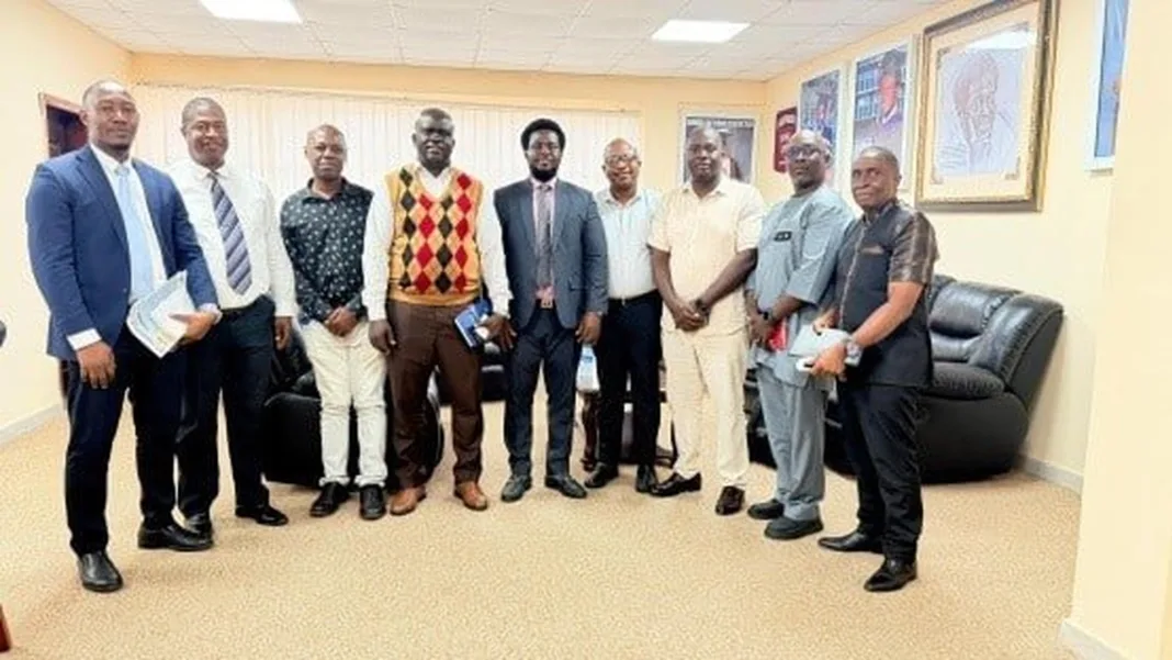 ACC Launches Review of Rice Import Levy Revenue Following BAN Report