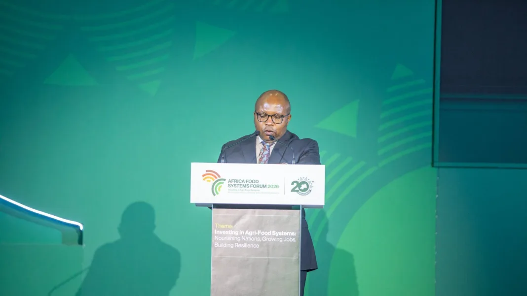 Inside Rwanda’s Major Agric Initiatives Seeking Rwf20tn in Financing
