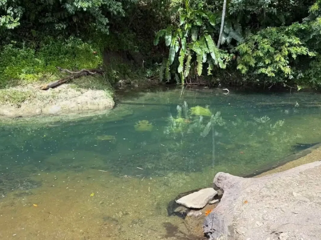 Pundit responds to concerns over murtis in Valencia River