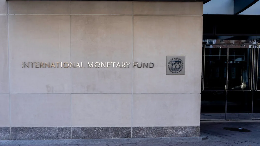 IMF deepens footprint in Latin America, which holds nearly half of all loans