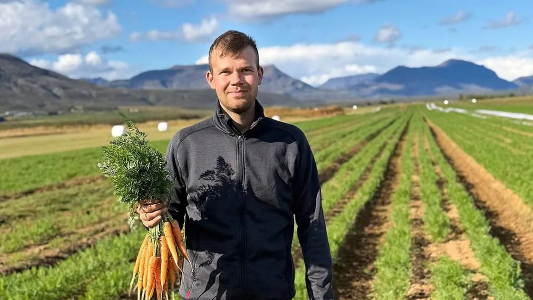 An enjoyable harvest season in the countryside