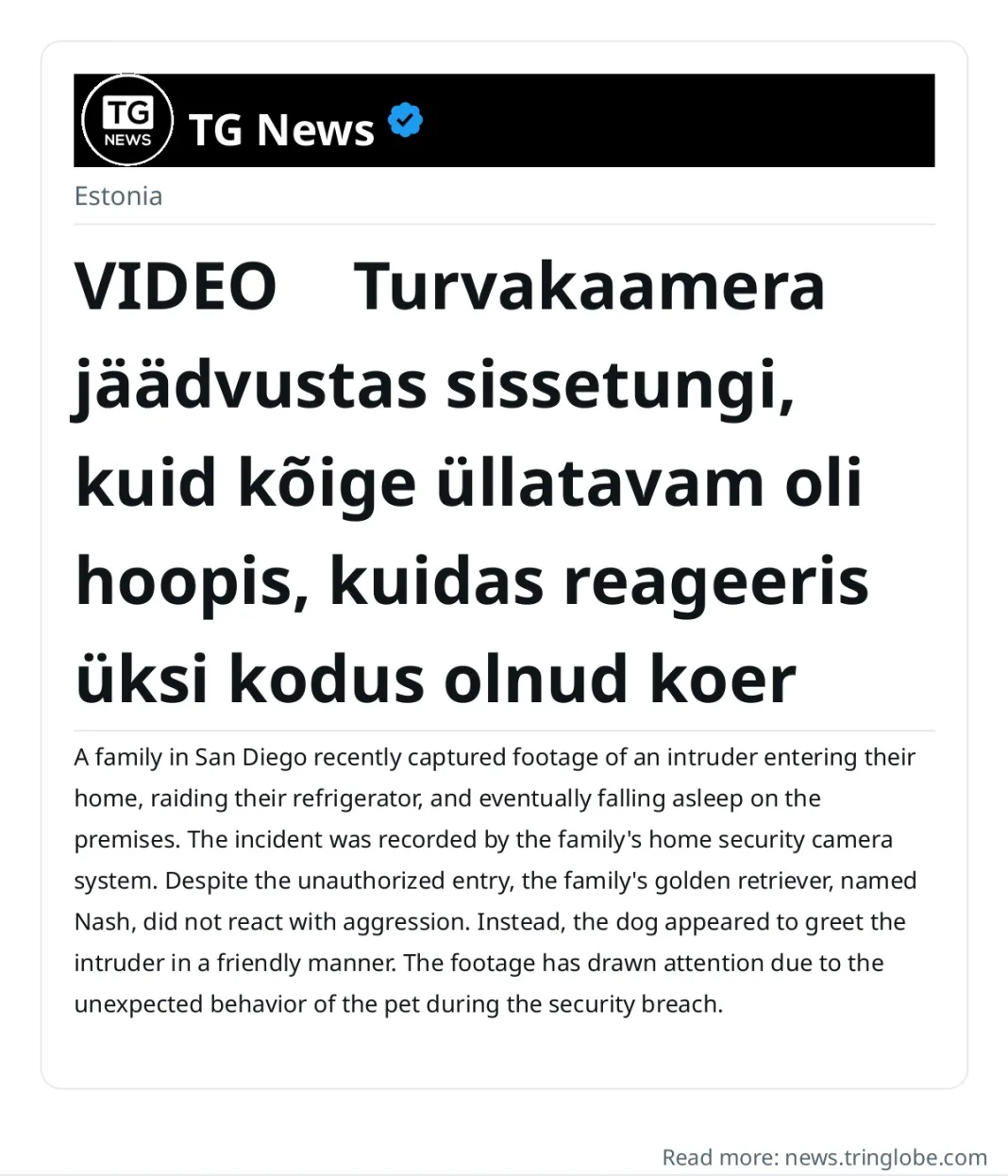 VIDEO ⟩ Turvakaamera jäädvustas sissetungi, kuid kõige üllatavam oli hoopis, kuidas reageeris üksi kodus olnud koer